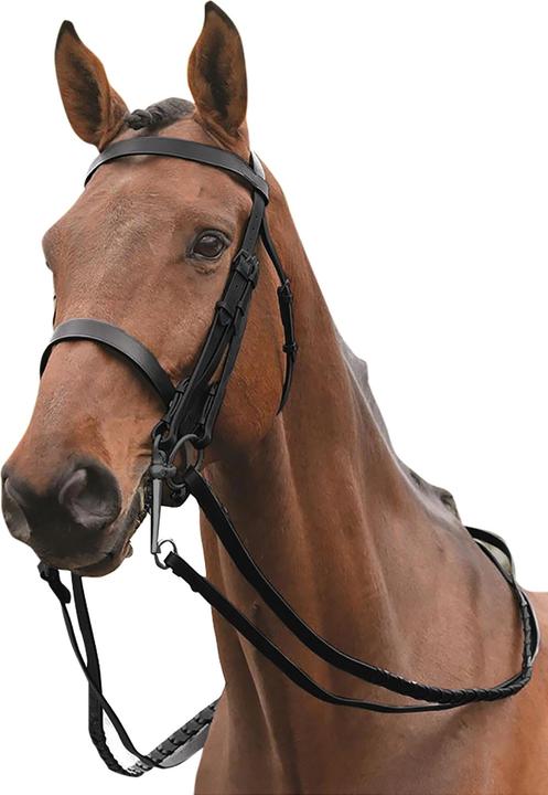 Image du produit Kincade Bridon Weymouth de spectacle en cuir Ii