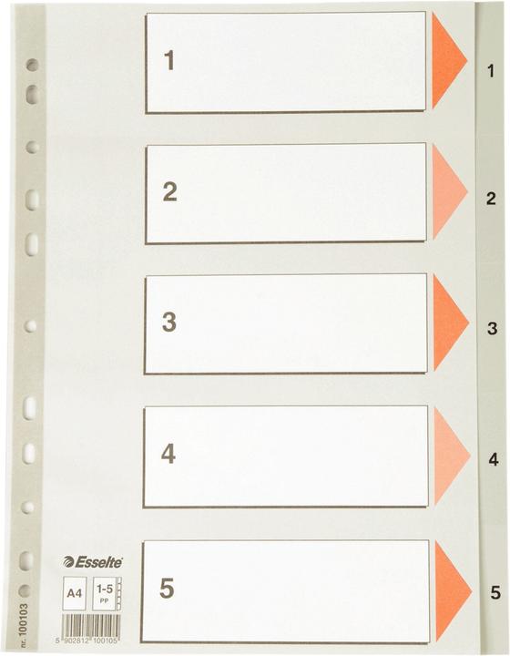 Actual product image Esselte Numbers