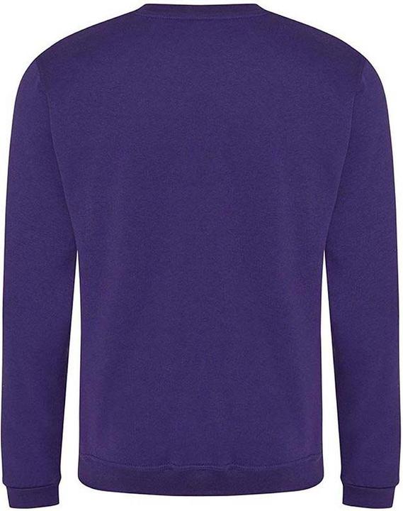 Actual product image Pro RTX Sweatshirt (4XL)