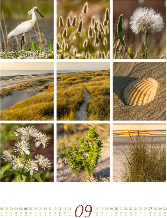 Immagine prodotto Inspiration Natur Kalender 2026 (Copertina rigida, Inglese, Francese, Tedesco)