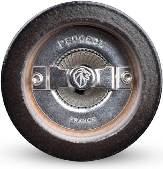 Produktbild Peugeot Paris (Salz)