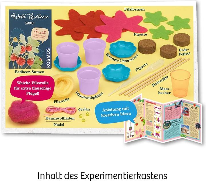 Produktbild Kosmos Feen-Erdbeeren