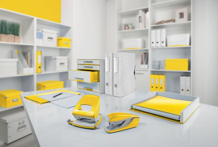 Productafbeelding Leitz WOW Click & Store opbergdoos (A4)
