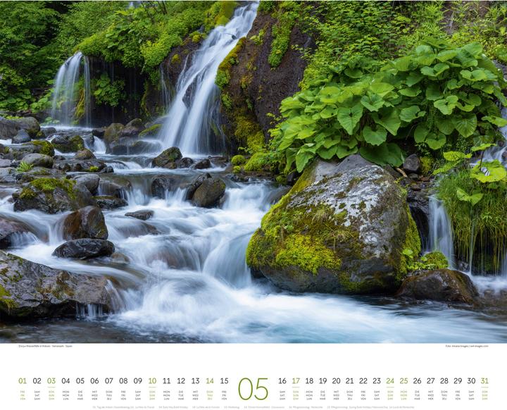 Immagine prodotto Wald Kalender 2026 (54 x 48 cm, Copertina rigida, Tedesco, Francese, Inglese)