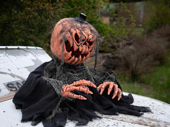 Actual product image Europalms Halloween pumpkin monster