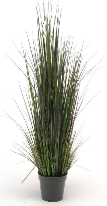Produktbild Emerald Flussgras (103 cm)