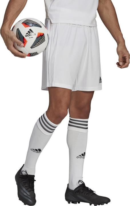 Actual product image adidas Squadra 21 Short (XL)