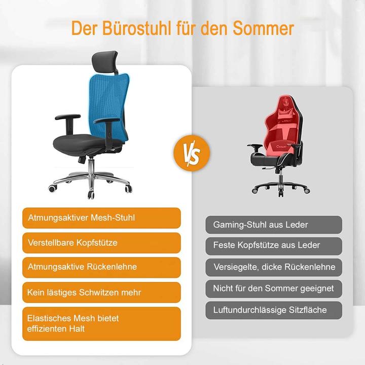 Image du produit Sihoo Chaise de bureau avec soutien lombaire