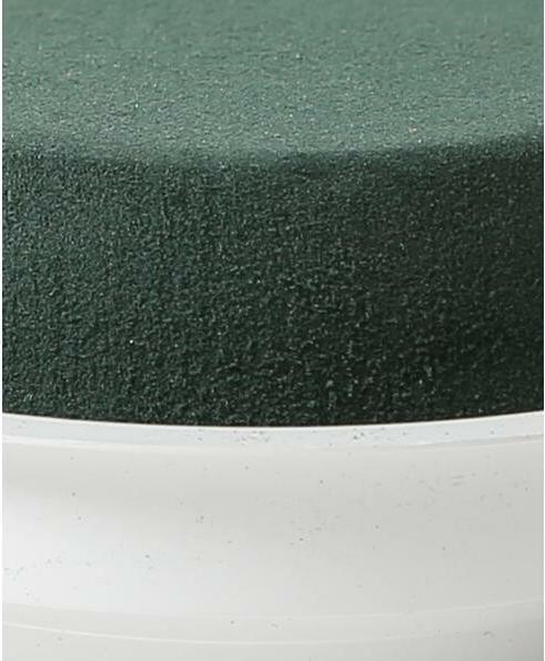 Actual product image Oasis Plug-in foam
