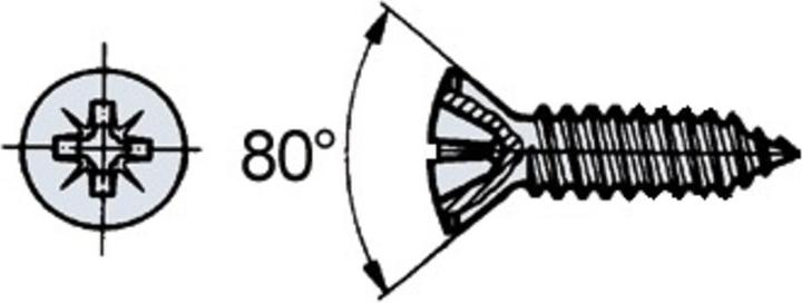 Werkstarck slotted shallow-raised countersunk-head tapping screw (200 Screws per piece)