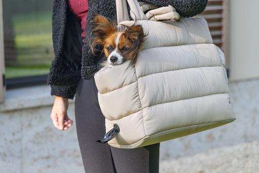 Actual product image Designed by Lotte Tico (Dog, Foldable, Washable)