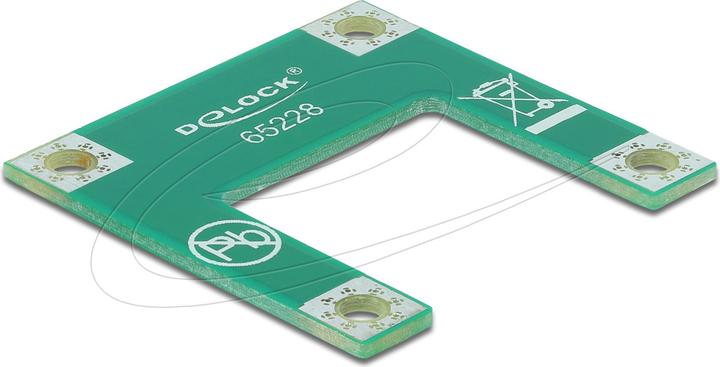 Delock Convertitore Mini PCI Express