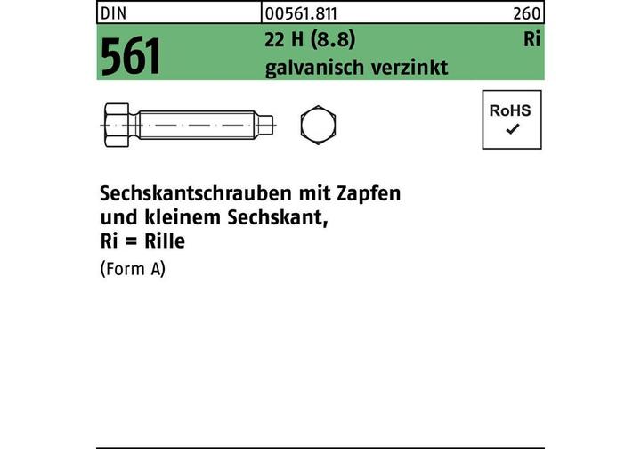 Immagine prodotto Vite a testa esagonale DIN 561 con codolo AM 20 x 120 22 H (8,8) zincata (10 Viti per pezzo)