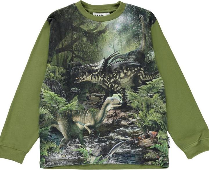 Molo Langarmshirt Rube Green Dinos