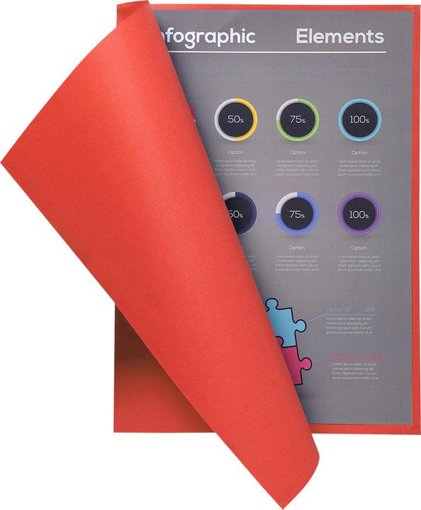 Image du produit Exacompta Sammelmappen (A4, 100 x)
