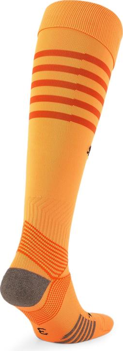 Image du produit Puma Chaussettes teamFINAL