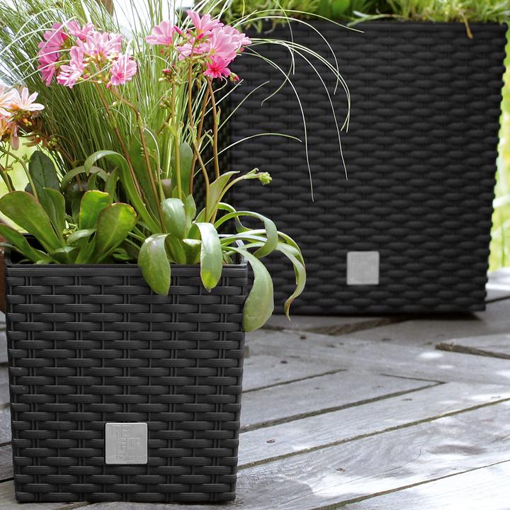 Image du produit Deuba Pot de fleurs (39 cm)