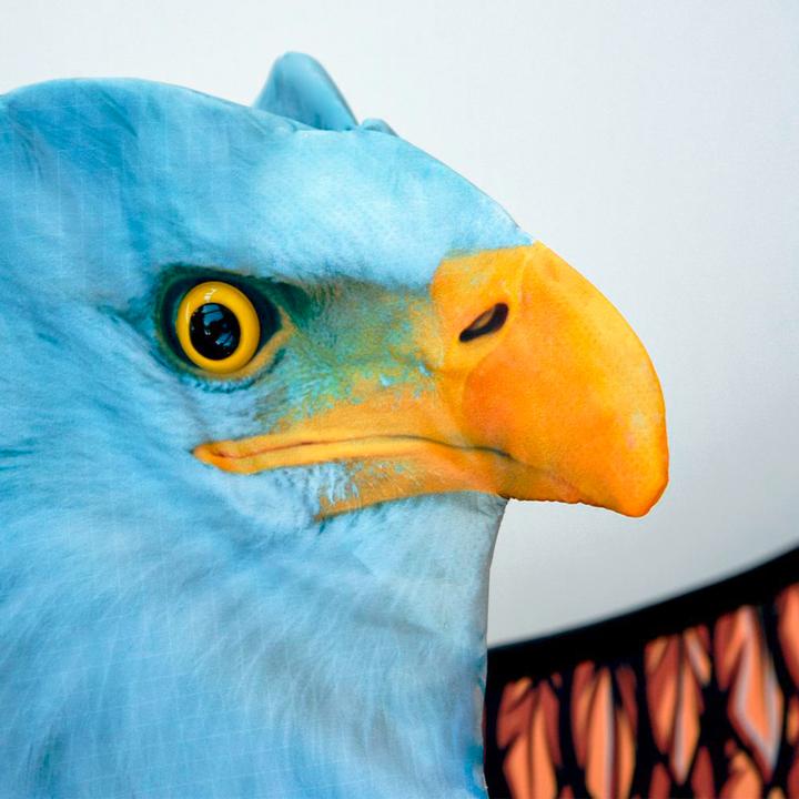 Produktbild Mikamax 3D Eagle Kite