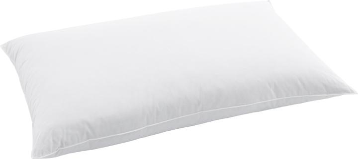 Immagine prodotto Swiss Dream by billerbeck Cuscino (60 x 90 cm)