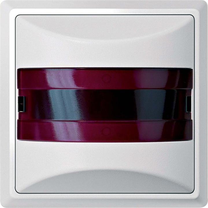 Actual product image ELSO Group signal lamp