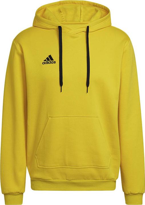 adidas Entrada 22 Kapuzenpullover Herren