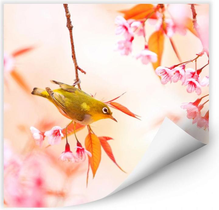 Image du produit Trenddeko Le chant des oiseaux dans la fleur de cerisier (70 x 70 cm)