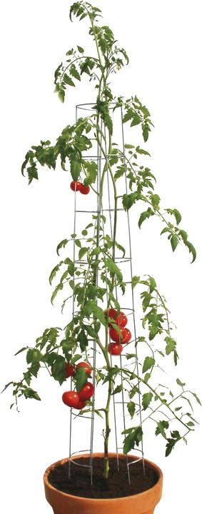 Image du produit Bellissa Tour de la tomate (12 cm, 12 cm)