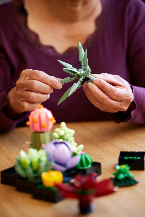 Immagine prodotto LEGO Succulente (10309, LEGO Botanical, Set LEGO rari)