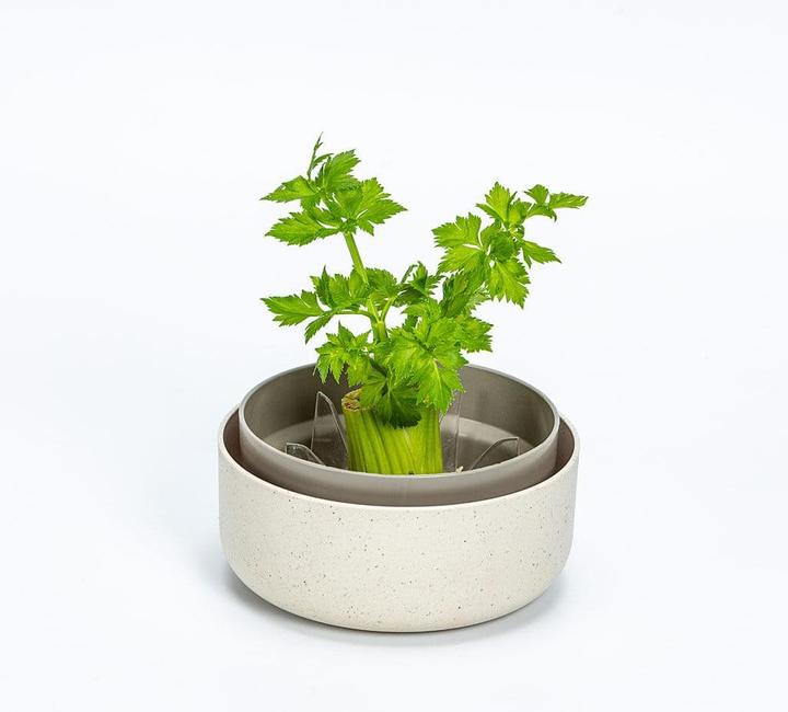 Immagine prodotto URBALIVE Kit di germinazione per microgreens (Germogli)