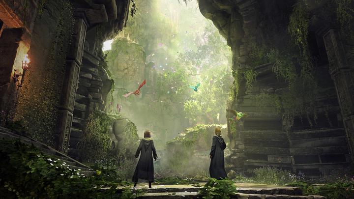 Produktbild Microsoft C2C Hogwarts Legacy Xbox One (Xbox One X, Xbox One S)