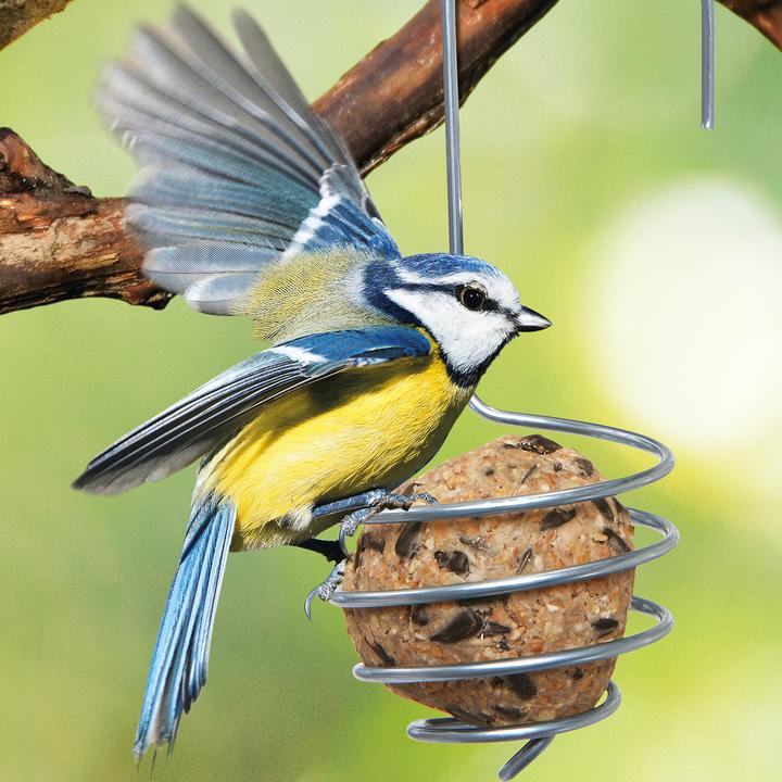 Image du produit Bellissa Porte-boulette