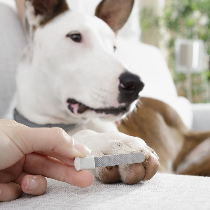 Produktbild InnovaGoods Krallenschere mit LED-Licht für Hund und Katze (Katze, Hund)