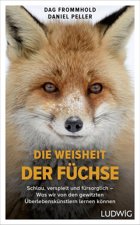 Actual product image Die Weisheit der Füchse (German, Dag Frommhold, Daniel Peller, 2022)