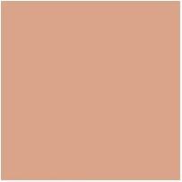 Actual product image Shiseido Sheer Matifying Compact, Oil-Free, Long Lasting, Compact Foundati