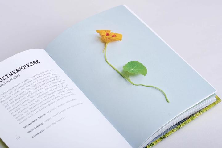 Produktbild Wildpflanzen essen (Deutsch, Leoniek Bontje, Yvet Noordermeer, 2020)