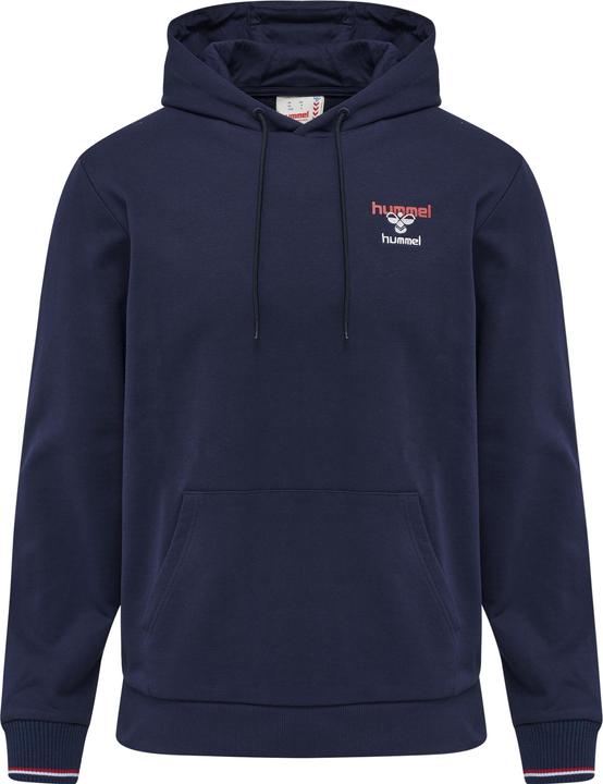 Actual product image hummel Ic Dayton Hoodie (L)
