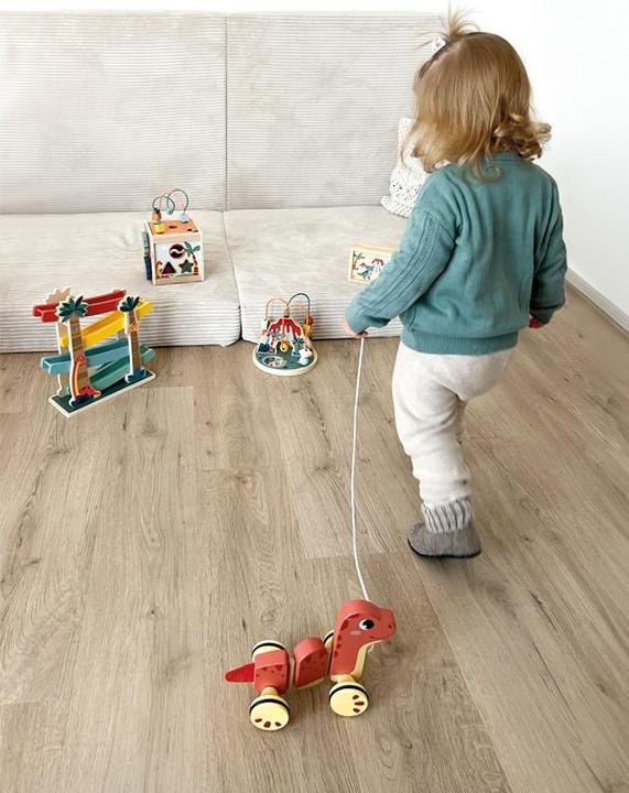 Image du produit small foot Mémo « Dino » FSC 100% (Multilingue)