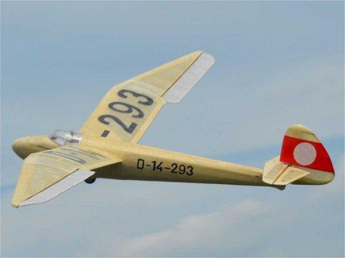 Actual product image Pichler Minimoa 1422mm glider model kit (Glider)