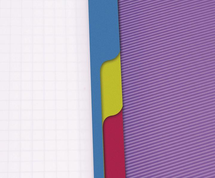 Produktbild Clairefontaine Linicolor Evolutiv Book (A4+, Kariert, Weicher Einband)