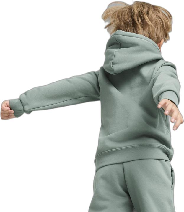 Actual product image Puma ESS No. 1 Logo Hoodie FL PS (104)