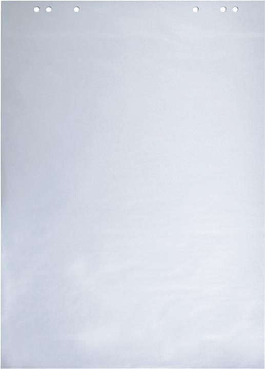 Actual product image Dahle Flip chart blocks