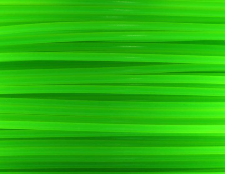 Image du produit FlashForge Filament (PLA, 1.75 mm, 1000 g, Vert)