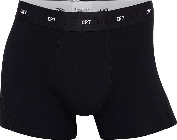 Produktbild CR7 Trunk Bamboo (L, 3er Pack)
