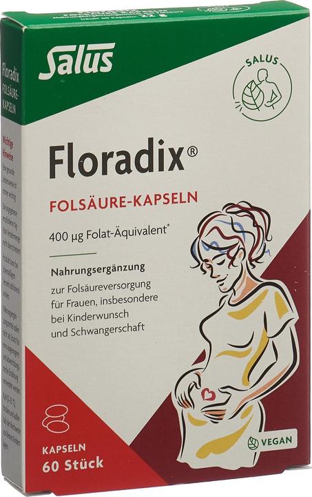 Salus Floradix (60 Stück, Kapseln, 22 g)