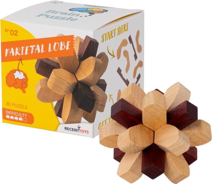 Actual product image Recent Toys Brain Puzzle No.2 Parietal Lobe
