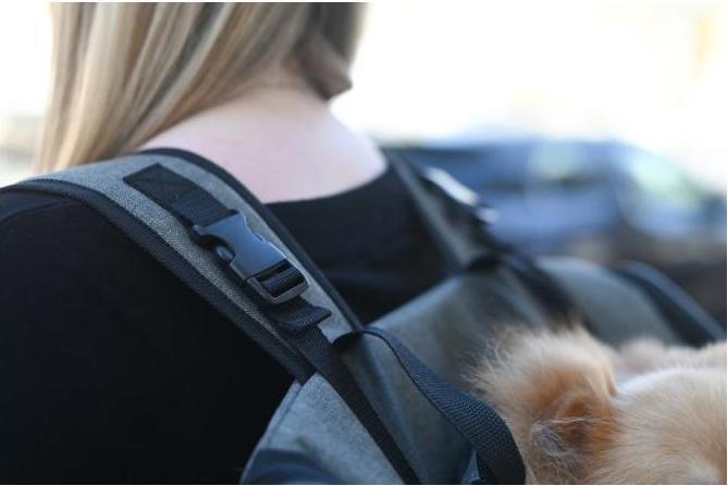 Actual product image Kerbl Dog Backpack Vacation (Dog, Foldable, Washable)