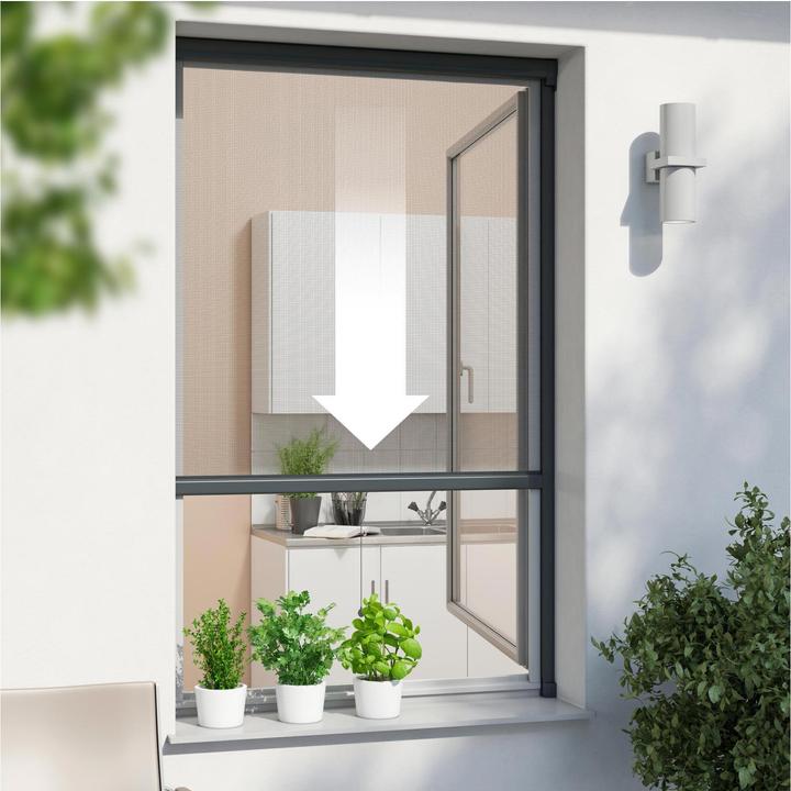 Produktbild Windhager Rollo (160 x 160 cm)