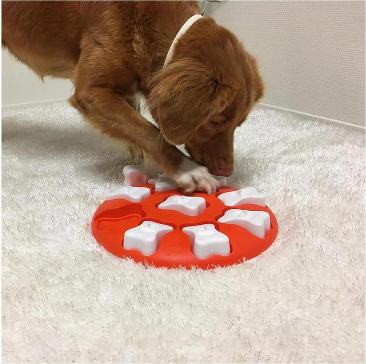 Produktbild Nina Ottosson Dog Smart (Intelligenzspielzeug Hund)