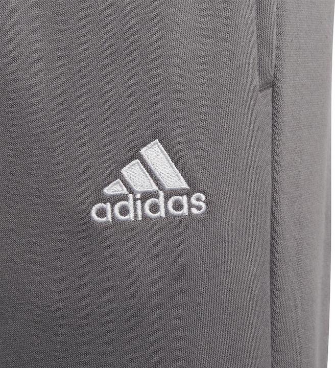 Actual product image adidas Entrada 22 sweatpants kids (128)