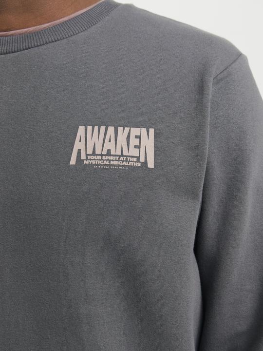 Actual product image Jack & Jones Back print sweatshirt Sweatshirt (XL)